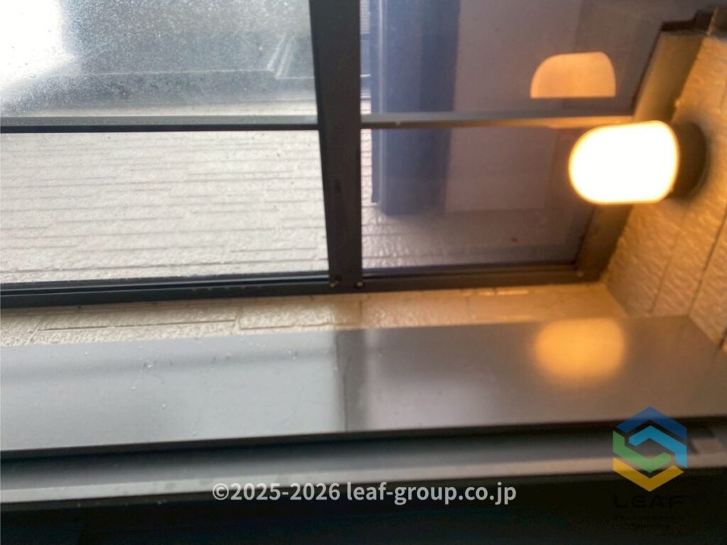 蜂の巣を撤去したカーポート軒下