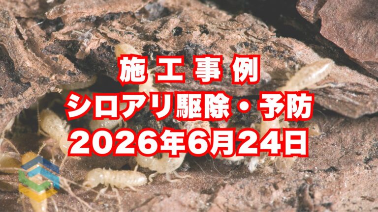 明石市の戸建てで行ったシロアリ駆除施工事例｜2026年6月24日