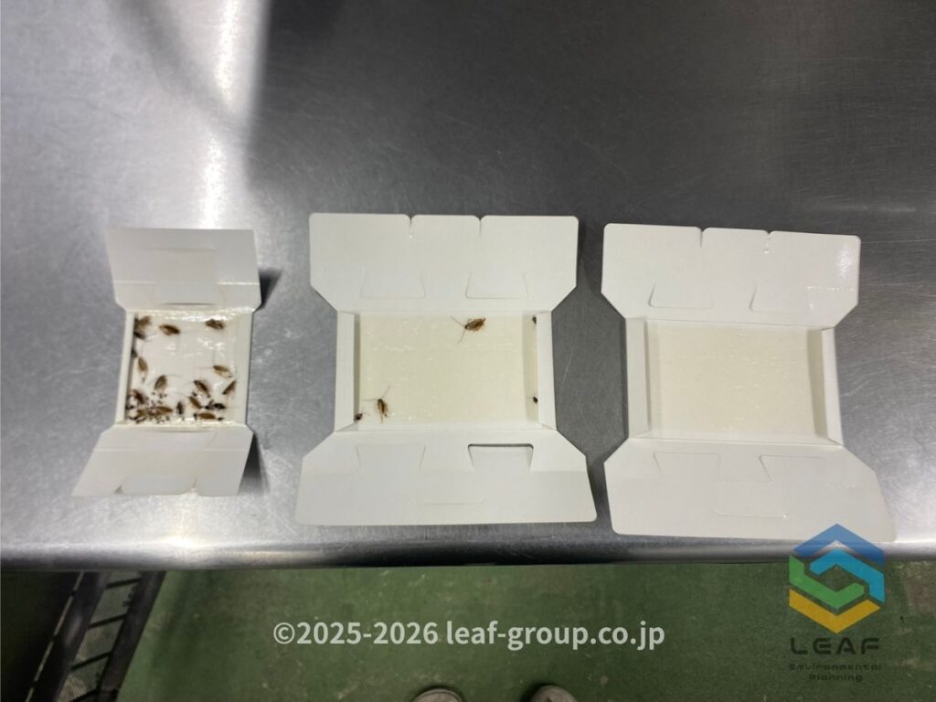厨房内へ設置した調査用トラップ