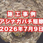 姫路市の戸建てで行ったアシナガバチ駆除施工事例｜2026年7月9日
