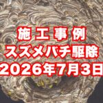 加東市の戸建てで行ったスズメバチ駆除施工事例｜2026年7月3日