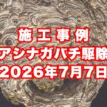 神戸市兵庫区の戸建てで行ったアシナガバチ駆除施工事例｜2026年7月7日