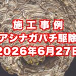 神戸市灘区の空き家で行ったアシナガバチ駆除施工事例｜2026年6月27日