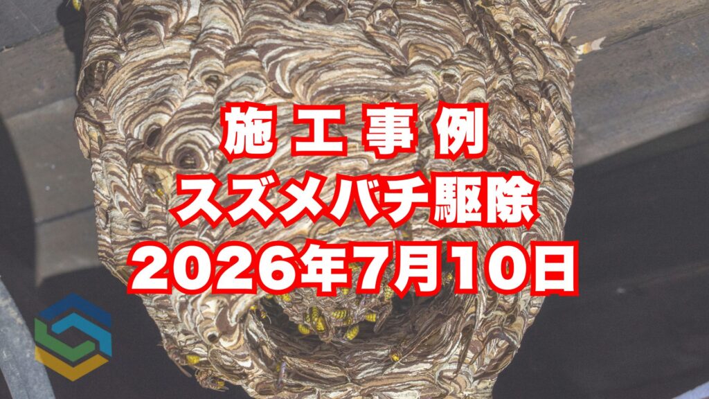 神戸市灘区の戸建てで行ったスズメバチ駆除施工事例｜2026年7月10日