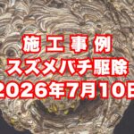 神戸市灘区の戸建てで行ったスズメバチ駆除施工事例｜2026年7月10日
