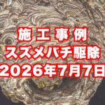 神戸市長田区のマンションで行ったスズメバチ駆除施工事例｜2026年7月7日