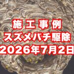 神戸市西区のマンションで行ったスズメバチ駆除施工事例｜2026年7月2日