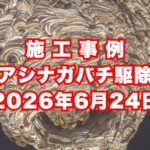 神戸市垂水区の戸建てで行ったアシナガバチ駆除施工事例｜2026年6月24日