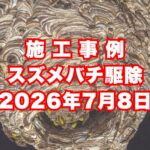 多可町の戸建てで行ったスズメバチ駆除施工事例｜2026年7月8日