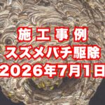 宝塚市のマンションで行ったスズメバチ駆除施工事例｜2026年7月1日