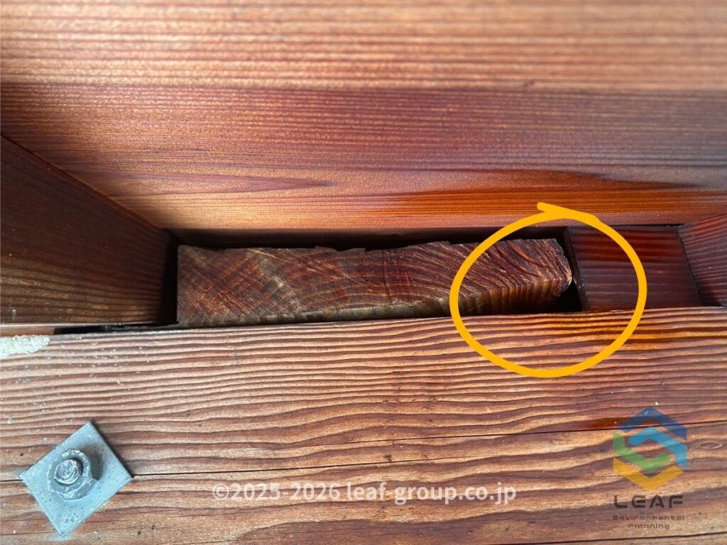 キイロスズメバチが利用していた屋根裏の侵入口