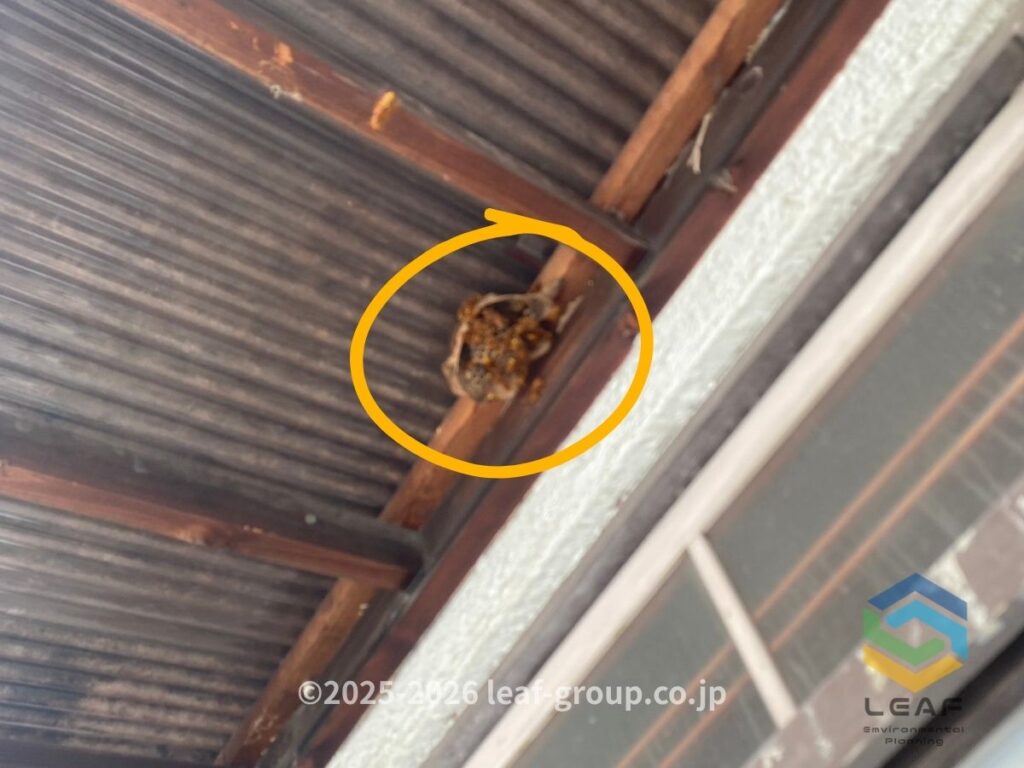 西宮市大社町のベランダ軒下に営巣したキイロスズメバチ
