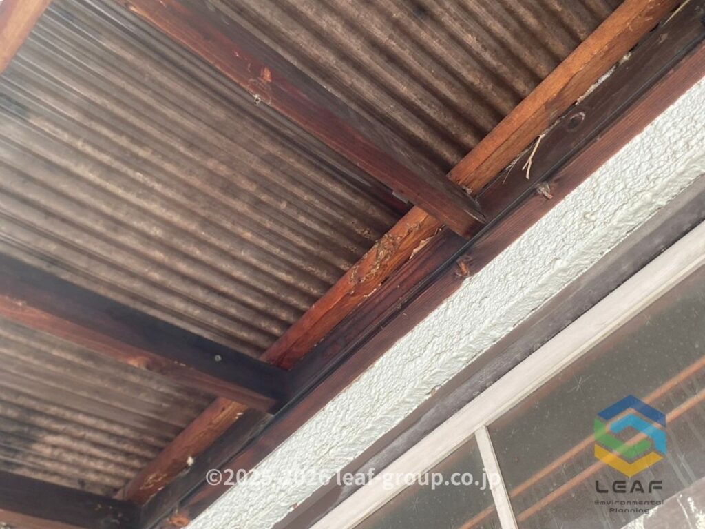 キイロスズメバチ駆除後のベランダ軒下