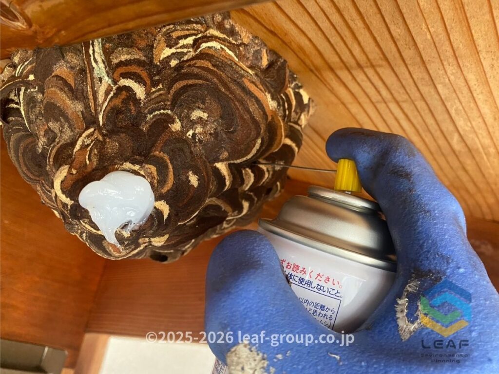コガタスズメバチの巣穴を封鎖して内部を殺虫する駆除作業