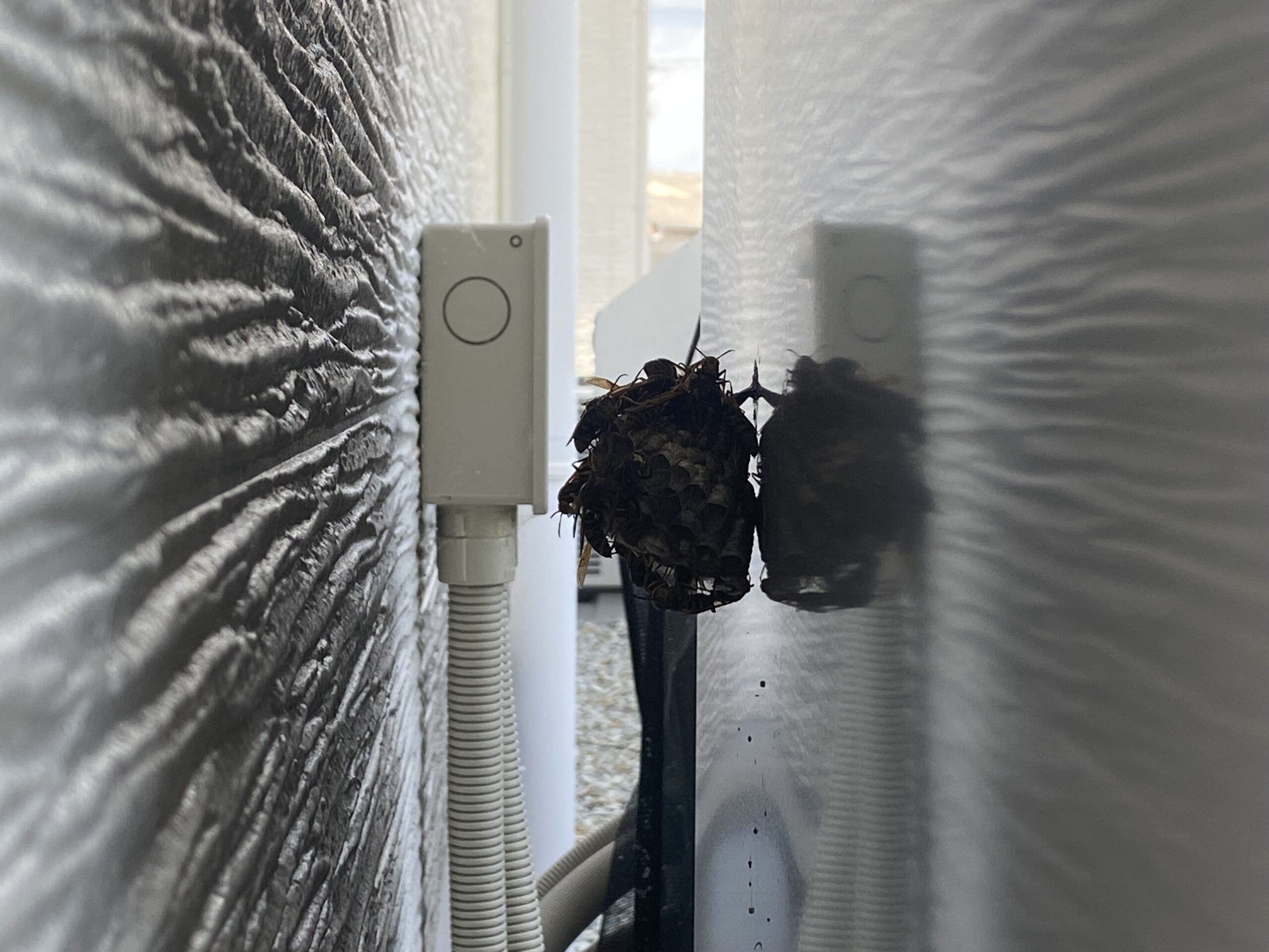 屋外給湯器の裏側に作られたキアシナガバチの巣と巣に集まるハチ