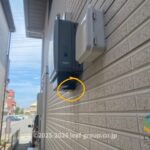 淡路市尾崎の室外電源ボックスにできたアシナガバチの巣