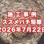 明石市の戸建てで行ったスズメバチ駆除施工事例｜2026年7月22日