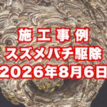 福崎町の戸建てで行ったスズメバチ駆除施工事例｜2026年8月6日