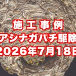 伊丹市のマンションで行ったアシナガバチ駆除施工事例｜2026年7月18日