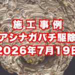 神戸市中央区の戸建てで行ったアシナガバチ駆除施工事例｜2026年7月19日