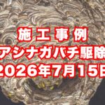 神戸市西区の戸建てで行ったアシナガバチ駆除施工事例｜2026年7月15日