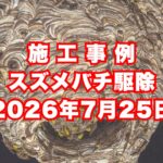 神戸市西区のお寺で行ったスズメバチ駆除施工事例｜2026年7月25日