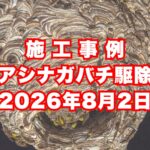 神戸市須磨区の戸建てで行ったアシナガバチ駆除施工事例｜2026年8月2日