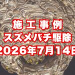 神戸市垂水区の戸建てで行ったスズメバチ駆除施工事例｜2026年7月14日