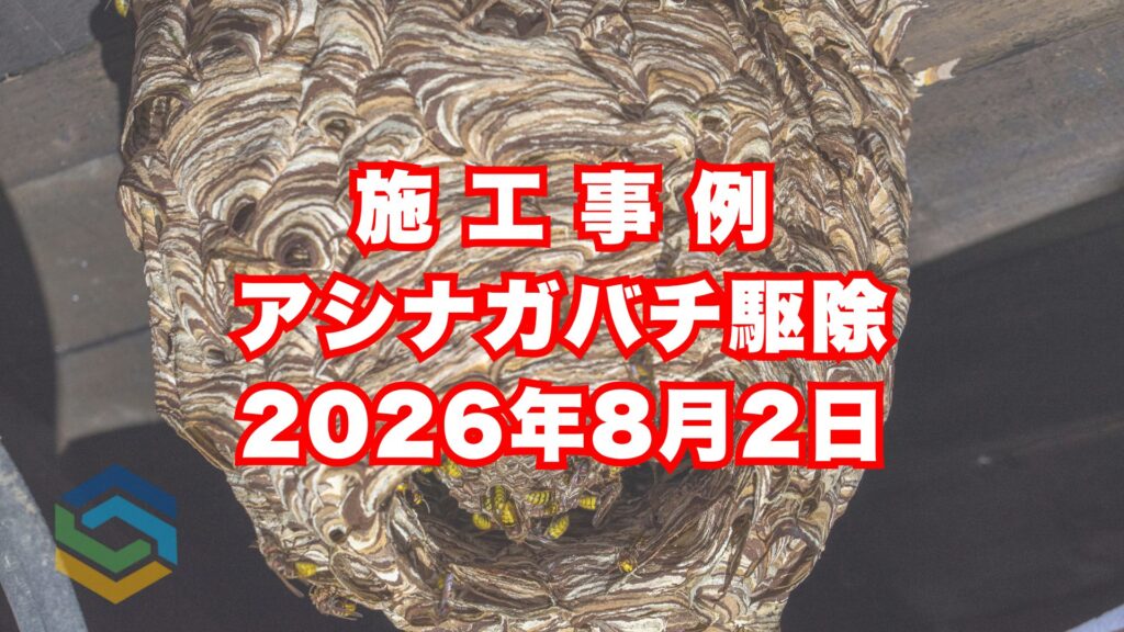三木市の戸建てで行ったアシナガバチ駆除施工事例|2026年8月2日