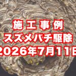 西宮市の戸建てで行ったスズメバチ駆除施工事例｜2026年7月11日