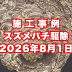 丹波篠山市の戸建てで行ったスズメバチ駆除施工事例｜2026年8月1日