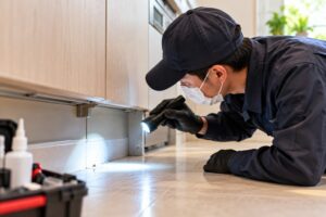 住宅内を調査する害虫駆除スタッフ