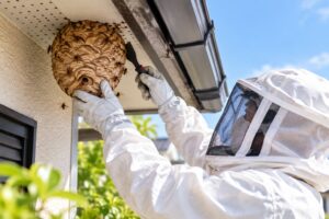住宅の軒下にできた蜂の巣の駆除